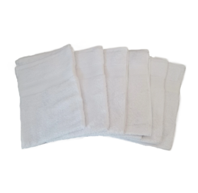 GUEST TOWEL TAA ARCONATE 40X60 