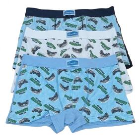 Boxer da bambino in cotone elasticizzato&nbsp;Gasolino U3738 