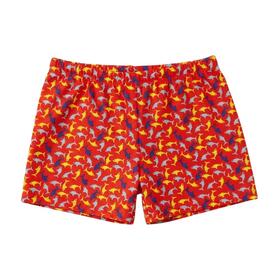 SHORT MARE BAMBINO ANDY&amp;GIO AQ03
&nbsp; 