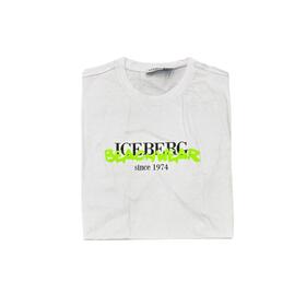 MĘSKA KOSZULKA Z NADRUKIEM ICE3MTS01 