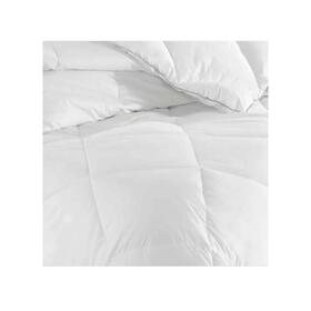 INTERNO PIUMINO MICROFIBRA 300 GSM CAMPIGLIO (2 PIAZZE) 