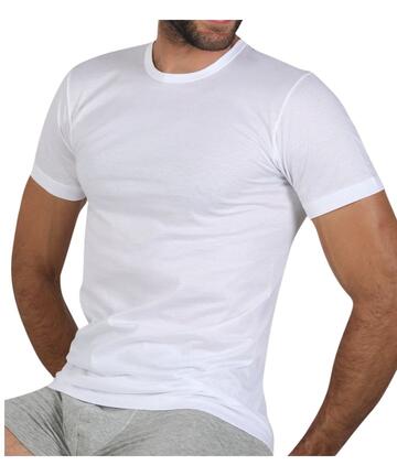 T-shirt uomo girocollo in cotone filo di Scozia Fragi 2340