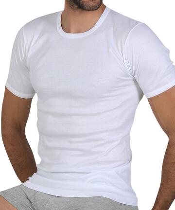 T-shirt uomo in filo di cotone mercerizzato Fragi 1340 Leon - CIAM Centro Ingrosso Abbigliamento