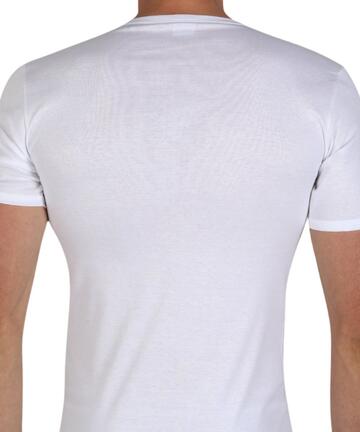 T-shirt uomo in filo di cotone mercerizzato Fragi 1340 Leon - CIAM Centro Ingrosso Abbigliamento