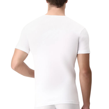 CAGI 1308 SERAFINO COTTON MEN'S T-SHIRT - CIAM Centro Ingrosso Abbigliamento