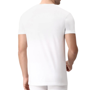 CAGI 1328 MEN'S CREW NECK COMBED COTTON T-SHIRT - CIAM Centro Ingrosso Abbigliamento