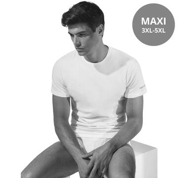 T-SHIRT UOMO CALIBRATA GIROCOLLO COTONE PETTINATO COVERI ET1100 MAXI - CIAM Centro Ingrosso Abbigliamento