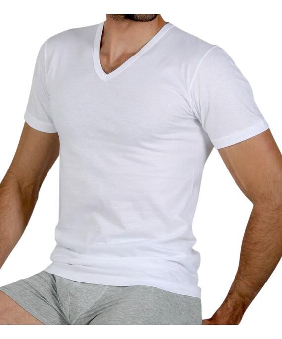 T-shirt uomo a V in cotone filo di Scozia Fragi 2540