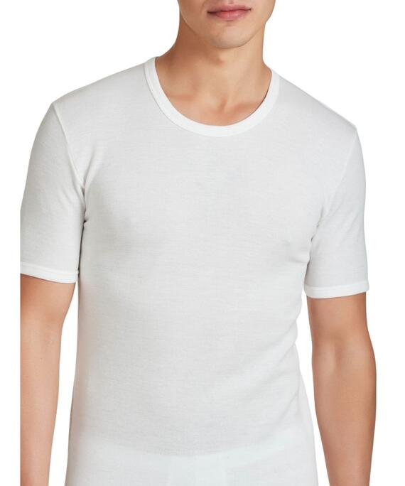 T-shirt uomo in lana merinos e cotone Ragno Sintonia MM 65457