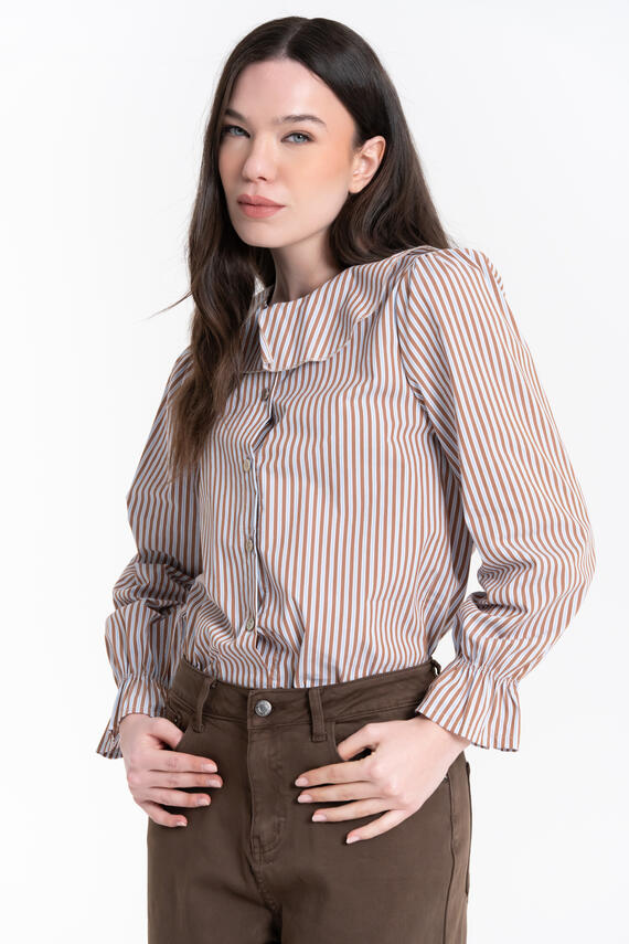 CAMICIA A RIGHE CON COLLETTO AMPIO FIORENZA AMADORI 35791
&nbsp;