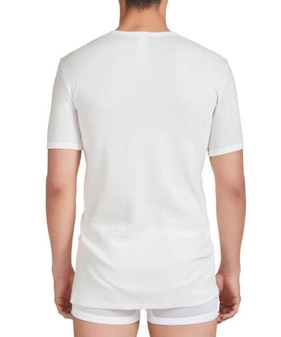 T-shirt uomo in lana merinos e cotone Ragno Sintonia MM 65457