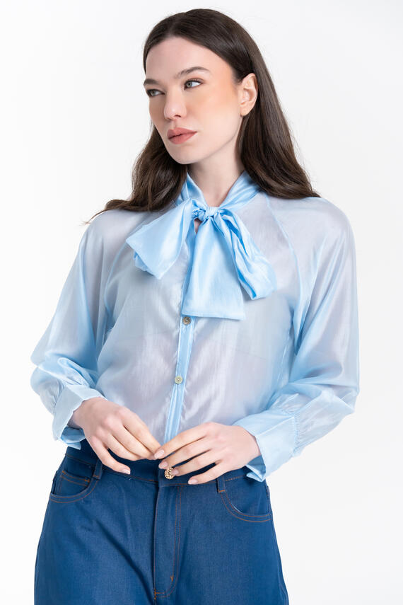 CAMICIA IN TANCEL CON FIOCCO FIORENZA AMADORI 35376
&nbsp;